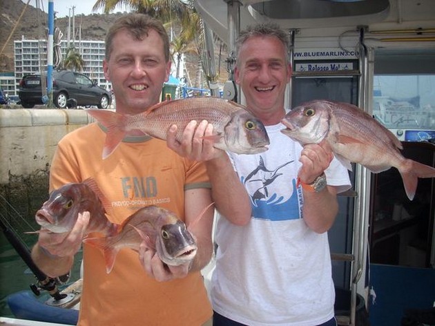 dos amigos Cavalier & Blue Marlin Sport Fishing Gran Canaria