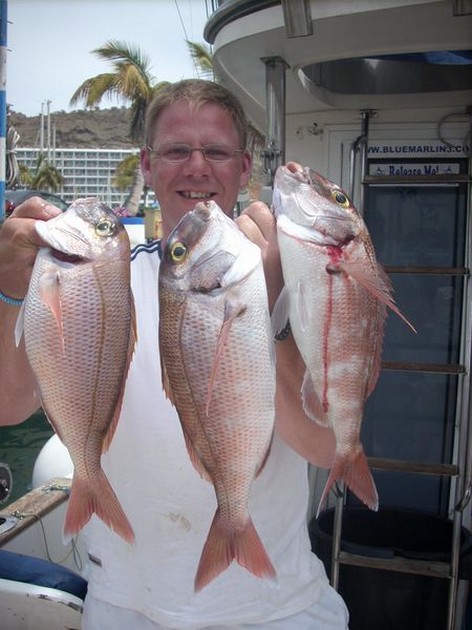 red snappers Cavalier & Blue Marlin Sport Fishing Gran Canaria