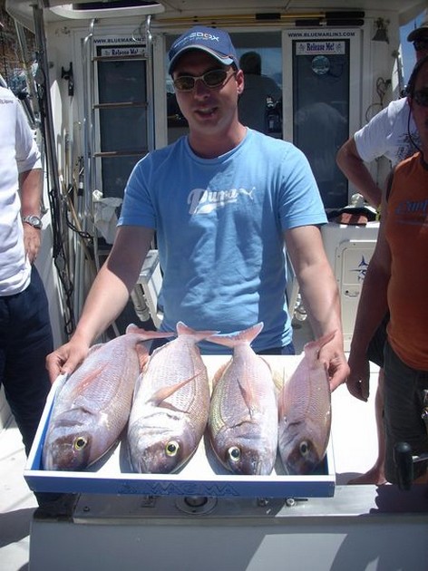 red snappers Cavalier & Blue Marlin Sport Fishing Gran Canaria
