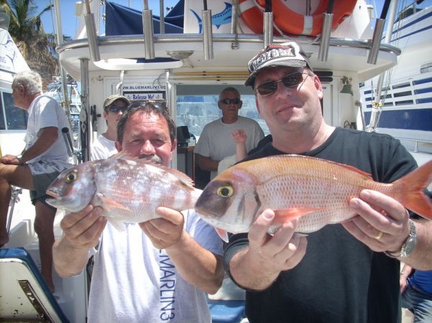  - Cavalier & Blue Marlin Sport Fishing Gran Canaria