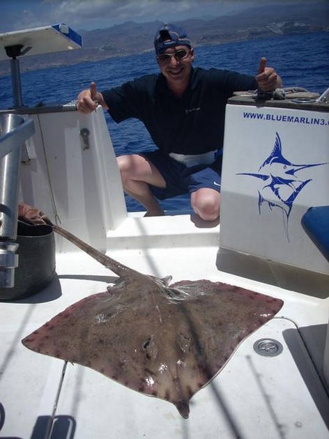 thornback ray Cavalier & Blue Marlin Sport Fishing Gran Canaria