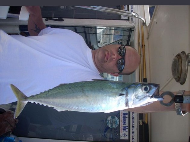 mackrel Cavalier & Blue Marlin Sport Fishing Gran Canaria