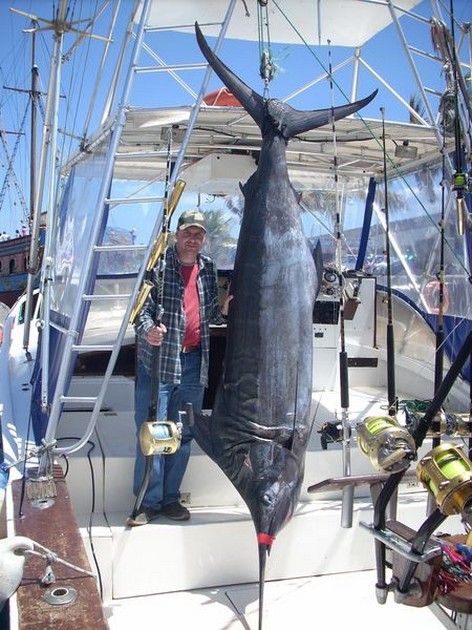 blue marlin Cavalier & Blue Marlin Sport Fishing Gran Canaria