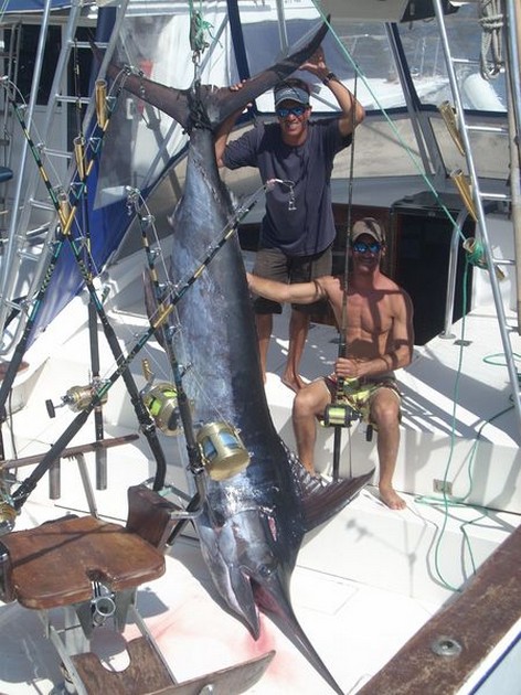 19/05 blue marlin Cavalier & Blue Marlin Sport Fishing Gran Canaria