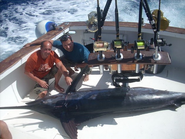 blue marlin Cavalier & Blue Marlin Sport Fishing Gran Canaria