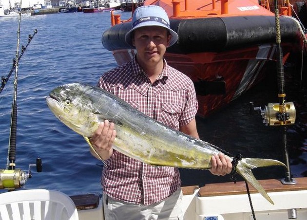 dorado Cavalier & Blue Marlin Sport Fishing Gran Canaria