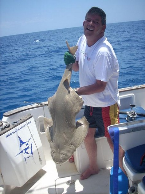 27/05 angel shark Cavalier & Blue Marlin Sport Fishing Gran Canaria