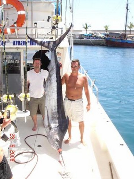 blue marlin Cavalier & Blue Marlin Sport Fishing Gran Canaria