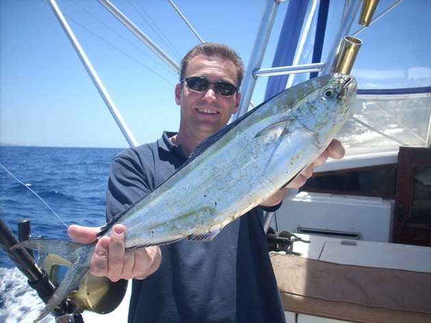 31/05 dorado Cavalier & Blue Marlin Sport Fishing Gran Canaria