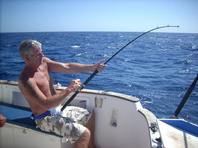 Puerto Rico 21.30 Uhr 2 BILL FISH CONTACTS The Blue - Cavalier & Blue Marlin Sport Fishing Gran Canaria