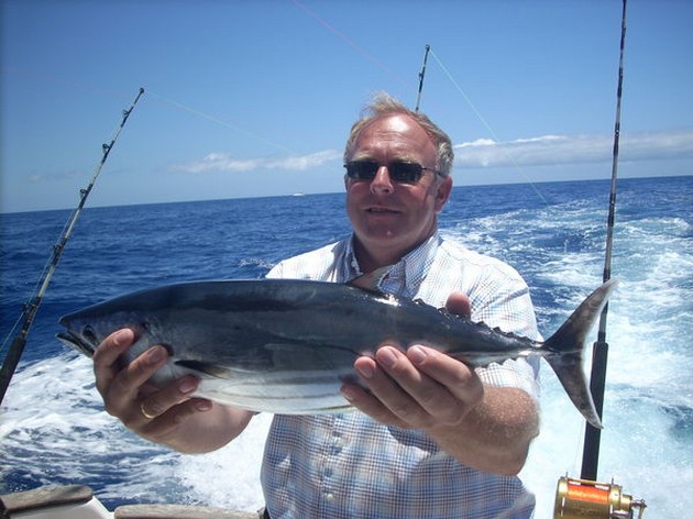skipjack tuna Cavalier & Blue Marlin Sport Fishing Gran Canaria
