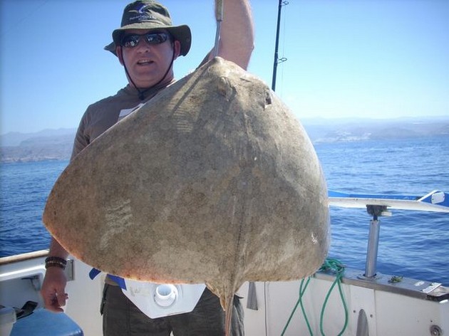 butterfly ray Cavalier & Blue Marlin Sport Fishing Gran Canaria