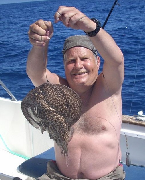 spotted torpedo Cavalier & Blue Marlin Sport Fishing Gran Canaria