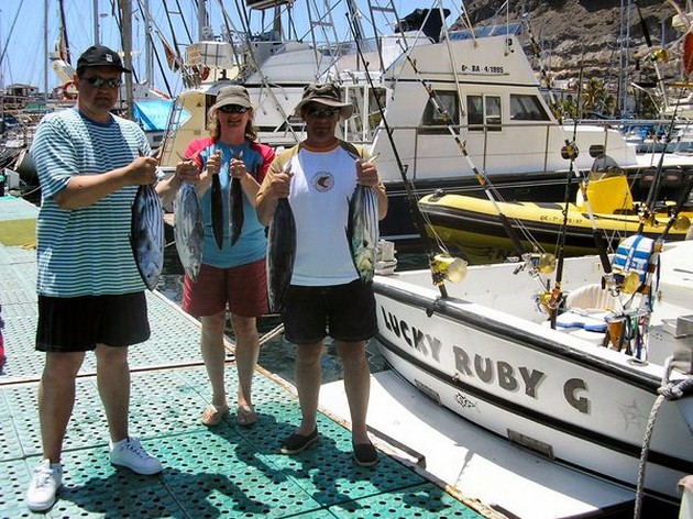 skipjack tuna Cavalier & Blue Marlin Sport Fishing Gran Canaria