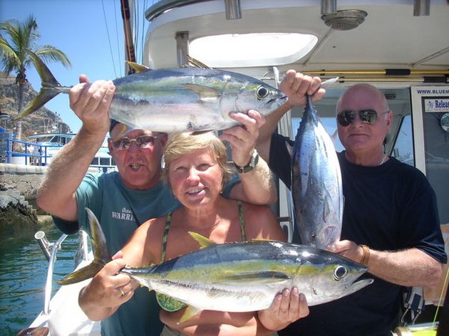 yellowfin & skipjack Cavalier & Blue Marlin Sport Fishing Gran Canaria