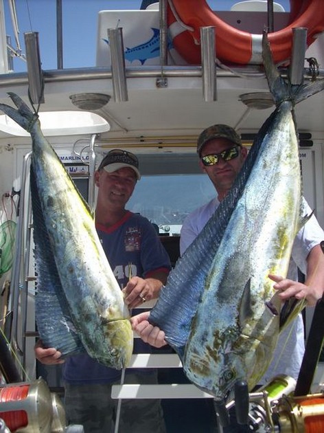 19/06 dorado Cavalier & Blue Marlin Sport Fishing Gran Canaria