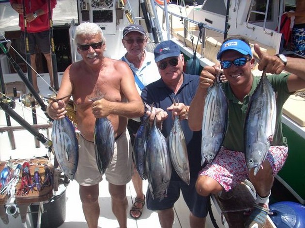 skipjack tuna Cavalier & Blue Marlin Sport Fishing Gran Canaria