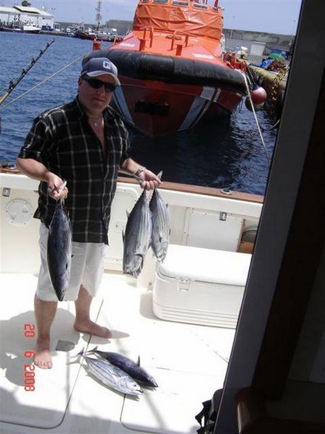 skipjack tuna Cavalier & Blue Marlin Sport Fishing Gran Canaria