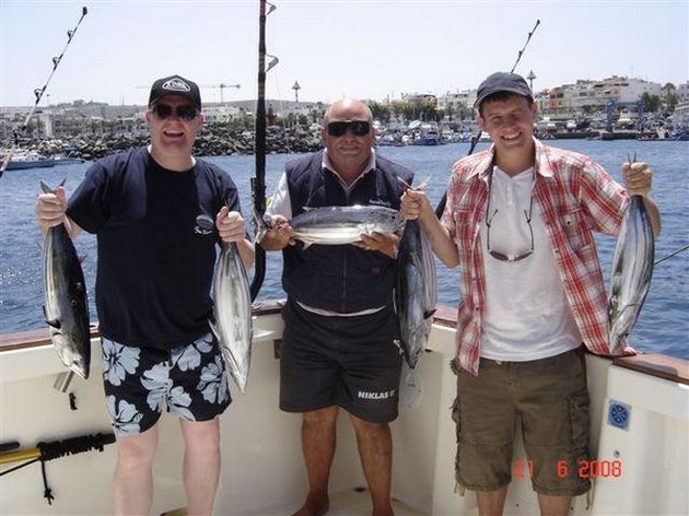 skipjack tuna Cavalier & Blue Marlin Sport Fishing Gran Canaria
