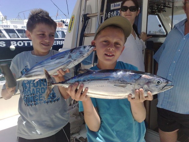 skipjack tuna Cavalier & Blue Marlin Sport Fishing Gran Canaria