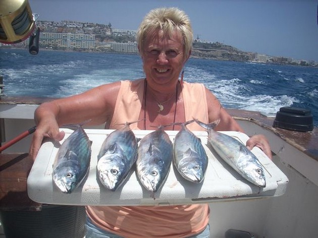 02/07 Atlantic Bonito Cavalier & Blue Marlin Sport Fishing Gran Canaria