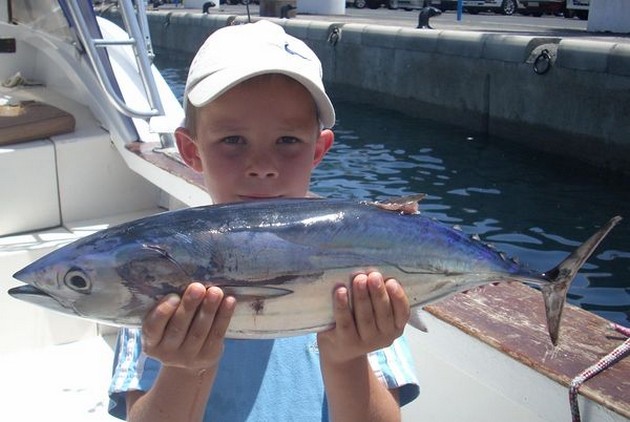 skipjack tuna Cavalier & Blue Marlin Sport Fishing Gran Canaria