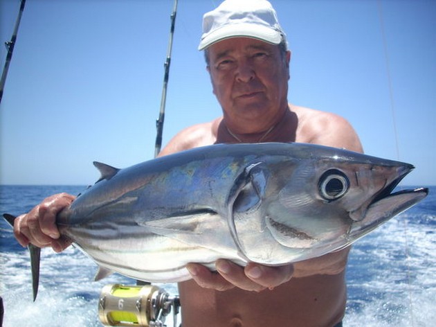 skipjack tuna Cavalier & Blue Marlin Sport Fishing Gran Canaria