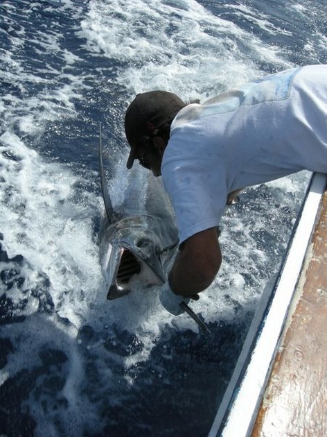 08/07 blue marlin Cavalier & Blue Marlin Sport Fishing Gran Canaria