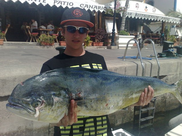 dorado Cavalier & Blue Marlin Sport Fishing Gran Canaria