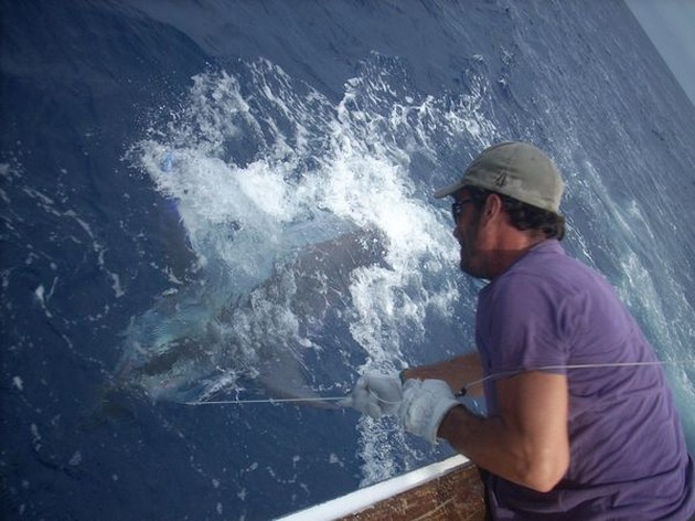 2 BLAUWE MARLIJNEN<br><br>De Blue Marlin 3 verliet deze zondagmorgen - Cavalier & Blue Marlin Sport Fishing Gran Canaria