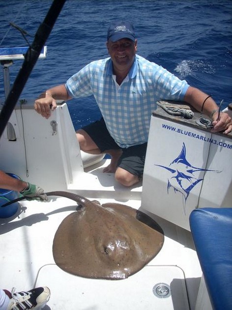 round stingray Cavalier & Blue Marlin Sport Fishing Gran Canaria