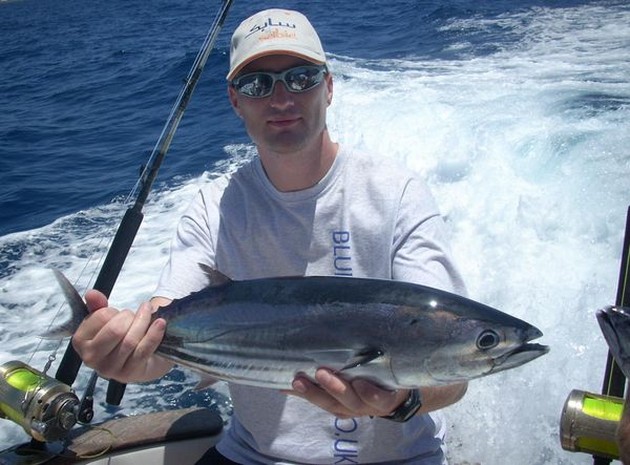 skipjack tuna Cavalier & Blue Marlin Sport Fishing Gran Canaria
