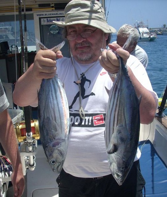 skipjack tuna Cavalier & Blue Marlin Sport Fishing Gran Canaria