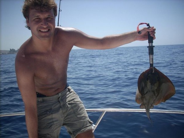 common stingray Cavalier & Blue Marlin Sport Fishing Gran Canaria