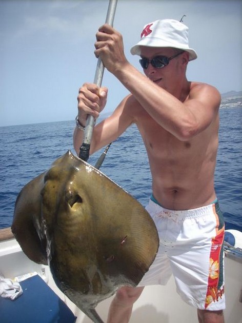 common stingray Cavalier & Blue Marlin Sport Fishing Gran Canaria