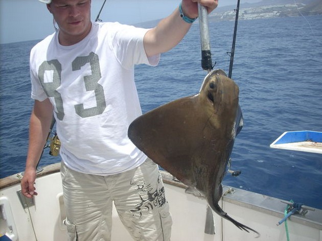 eagle ray Cavalier & Blue Marlin Sport Fishing Gran Canaria