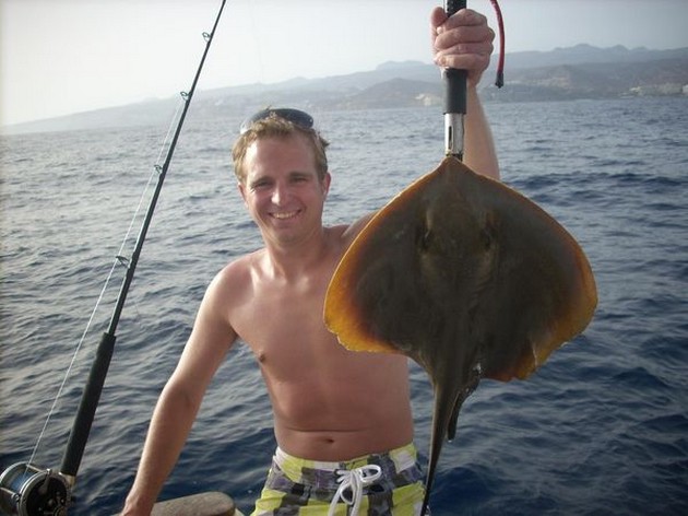 common stingray Cavalier & Blue Marlin Sport Fishing Gran Canaria