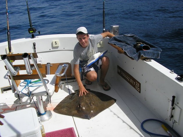 03/08 common stingray Cavalier & Blue Marlin Sport Fishing Gran Canaria