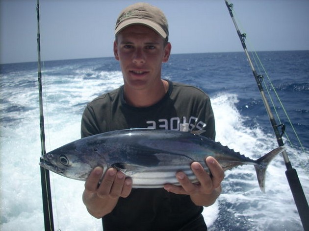 04/08 skipjack tuna Cavalier & Blue Marlin Sport Fishing Gran Canaria