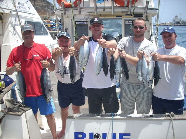 BLÅ MARLIN 160 KG MÄRKADE OCH SLäppT Stora skolor - Cavalier & Blue Marlin Sport Fishing Gran Canaria