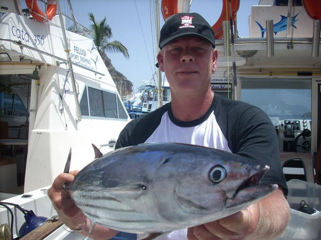 skipjack tuna Cavalier & Blue Marlin Sport Fishing Gran Canaria