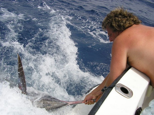 07/08 blue marlin Cavalier & Blue Marlin Sport Fishing Gran Canaria