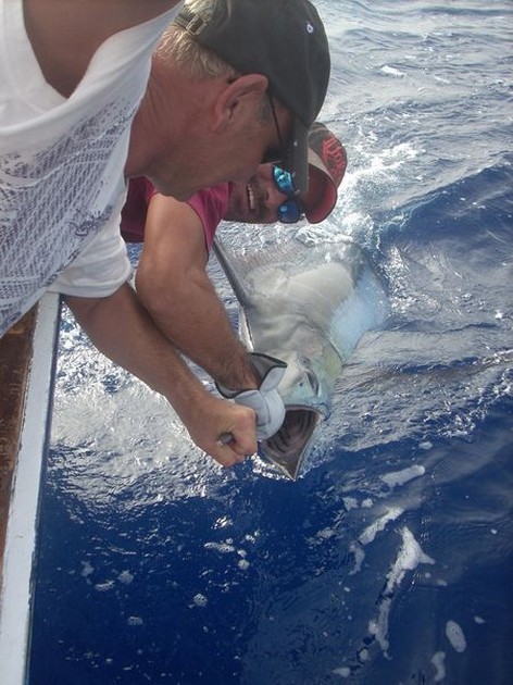08/08 blue marlin Cavalier & Blue Marlin Sport Fishing Gran Canaria