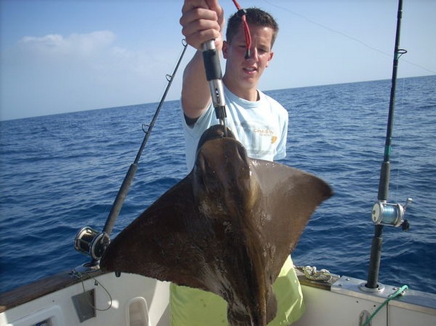  - Cavalier & Blue Marlin Sport Fishing Gran Canaria
