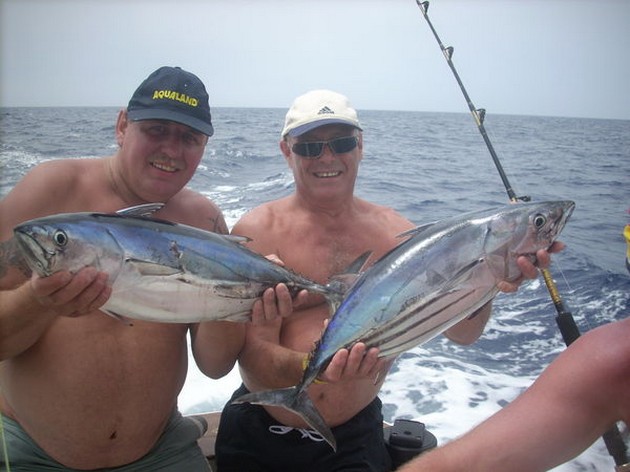 160 KG BLÅ MARLIN MÄRKADE OCH UTSLÄPPT Idag fångas - Cavalier & Blue Marlin Sport Fishing Gran Canaria