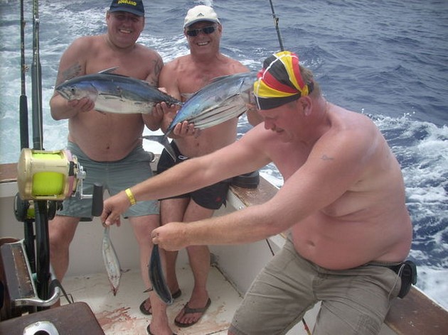 skipjack tuna Cavalier & Blue Marlin Sport Fishing Gran Canaria