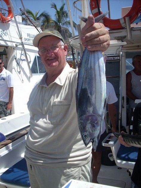 skipjack tuna Cavalier & Blue Marlin Sport Fishing Gran Canaria