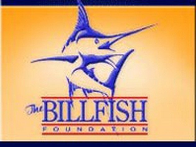 4 BILLFISH Den andra dagen i Pasito Blanco-turneringen, Cavalier & Blue Marlin Sport Fishing Gran Canaria