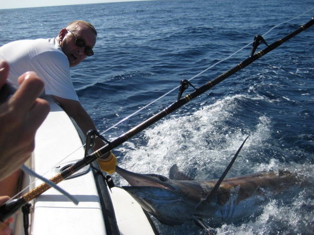 03/09 blue marlin Cavalier & Blue Marlin Sport Fishing Gran Canaria
