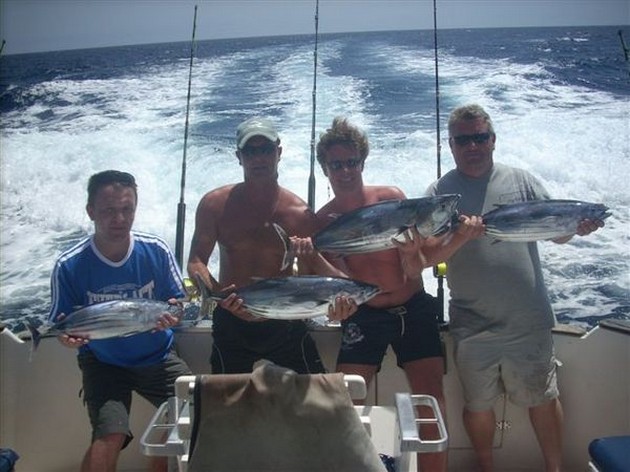 04/09 skipjack tuna Cavalier & Blue Marlin Sport Fishing Gran Canaria